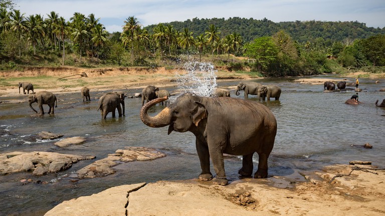 sri lanka history
