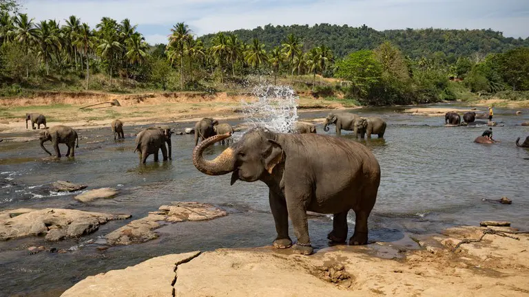sri lanka history