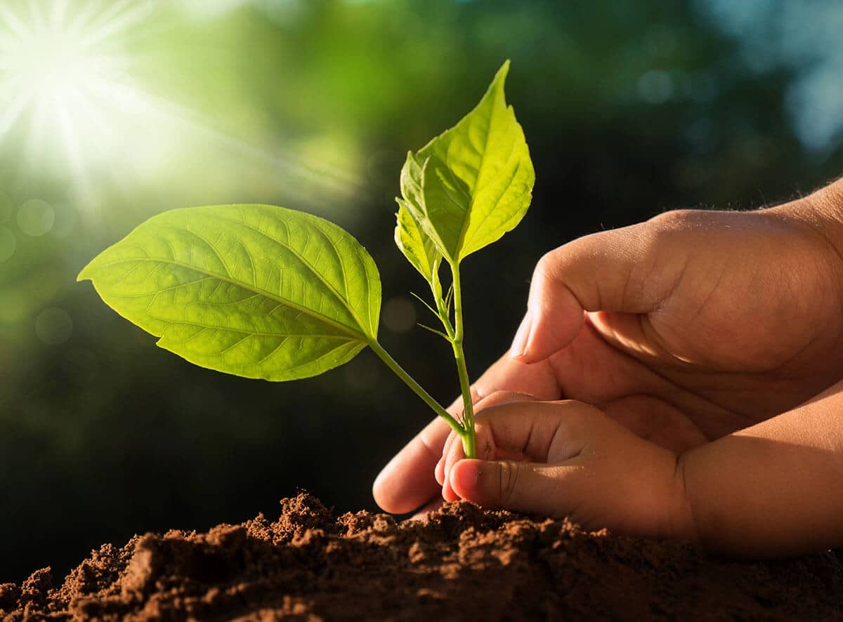 Earth Day 2021 in hindi