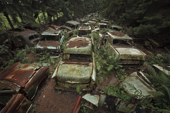 Car graveyard