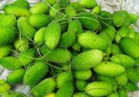 Spiny Gourd Benefits