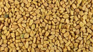 methi dana